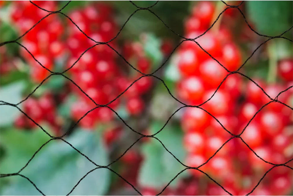 Tuinnet Primo - 10x4m - Zwart - Nature - Afbeelding 4